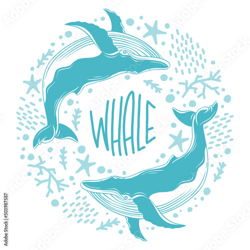 Whales painted in the style of line art. Vector illustration with marine life on a white background. Cetaceans with the inscription - whale