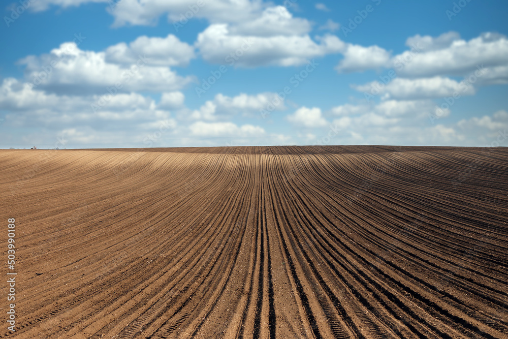 plowed field in Voivodina Serbia landscape