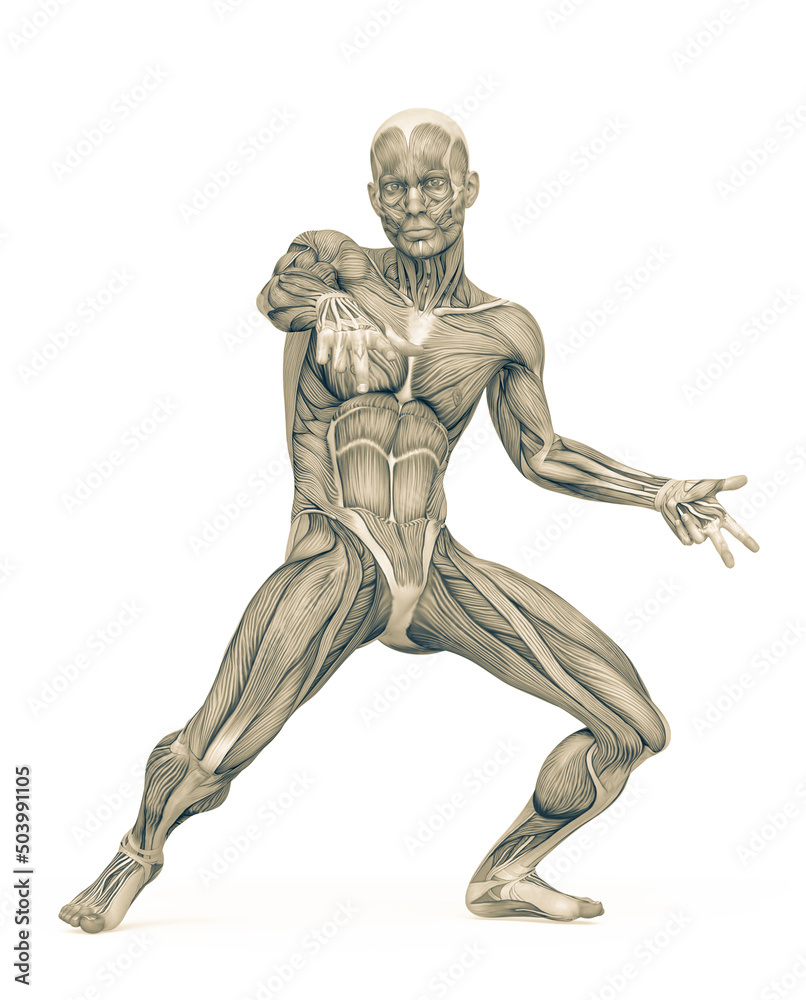 average man muscle maps is doing a hiphop dance front view average man muscle maps is doing a hiphop dance front view
