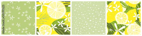 Abstract lemon seamless pattern set. Summer citrus fruit spray vector background design.