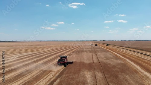 The harvester picks up the grain of wheat in the field, looking at the drone. Grain harvester. Picking grain with a combine harvester on an agronomic field looking from above