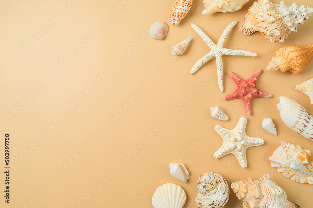 Summer vacation background with with seashell and starfish. Flat lay composition - obrazy, fototapety, plakaty 