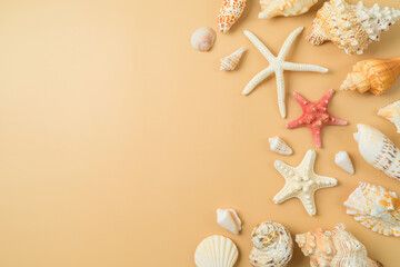 Summer vacation background with with seashell and starfish. Flat lay composition