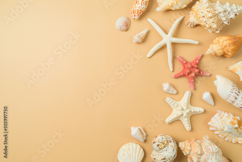Murais de parede Summer vacation background with with seashell and starfish