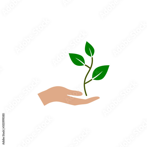 Plant, sprout in a hand icon isolated on white background