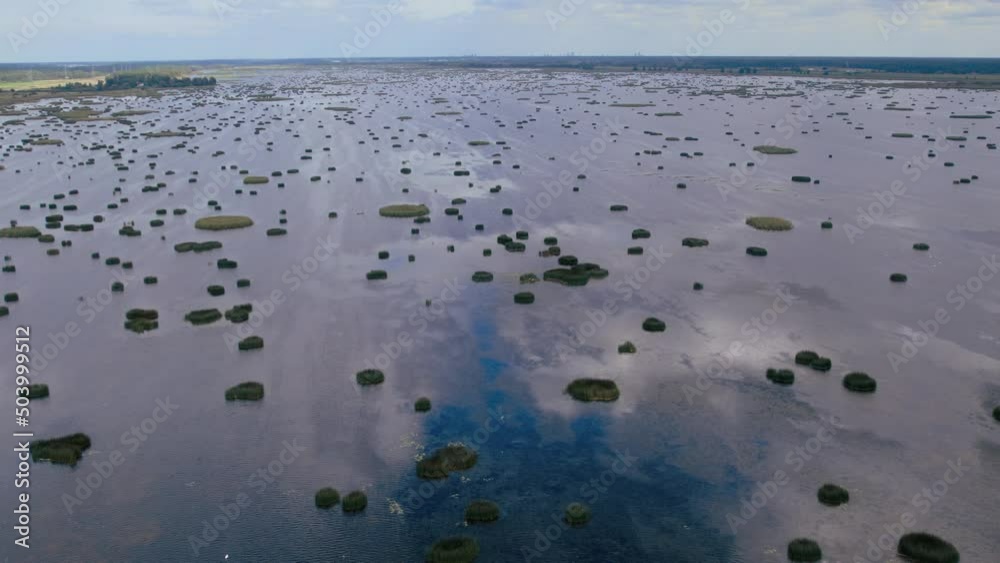 Aerial drone view over the nature reserve Babite Lake with thousands of little islands, Jurmala, Latvia, Europe Aerial drone view over the nature reserve Babite Lake with thousands of little islands, Jurmala, Latvia, Europe
