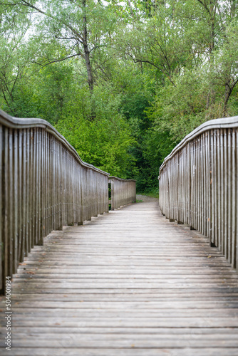 pont de bois ancien dans la nature