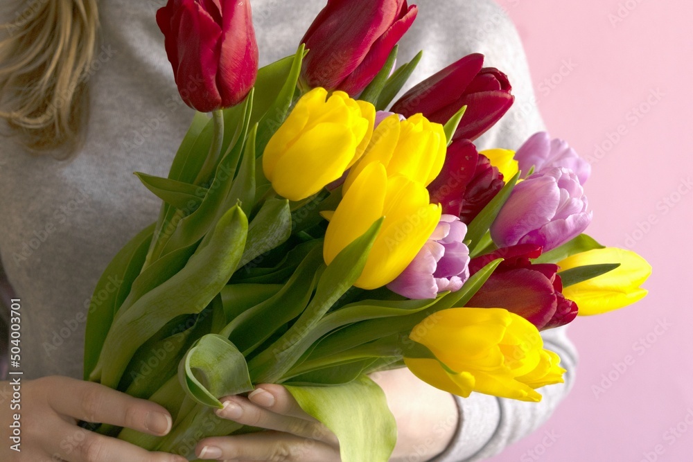 custom made wallpaper toronto digitalWoman's hand with a bouquet of yellow, red and purple tulips on pink background