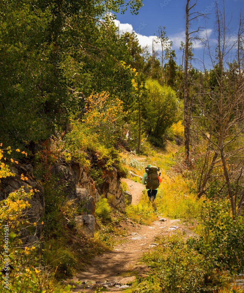 
View of man with large backpack hiking in Colorado forest in autumn; blue sky in background
