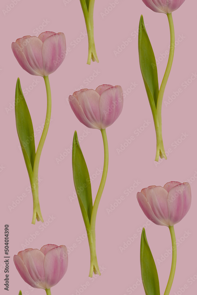 Obraz premium Many pink tulip flower with green leaves seamless pattern on pink spring background. Repetition botany floral wallpaper or greeting card. Nature design idea concept. Row of flowers.
