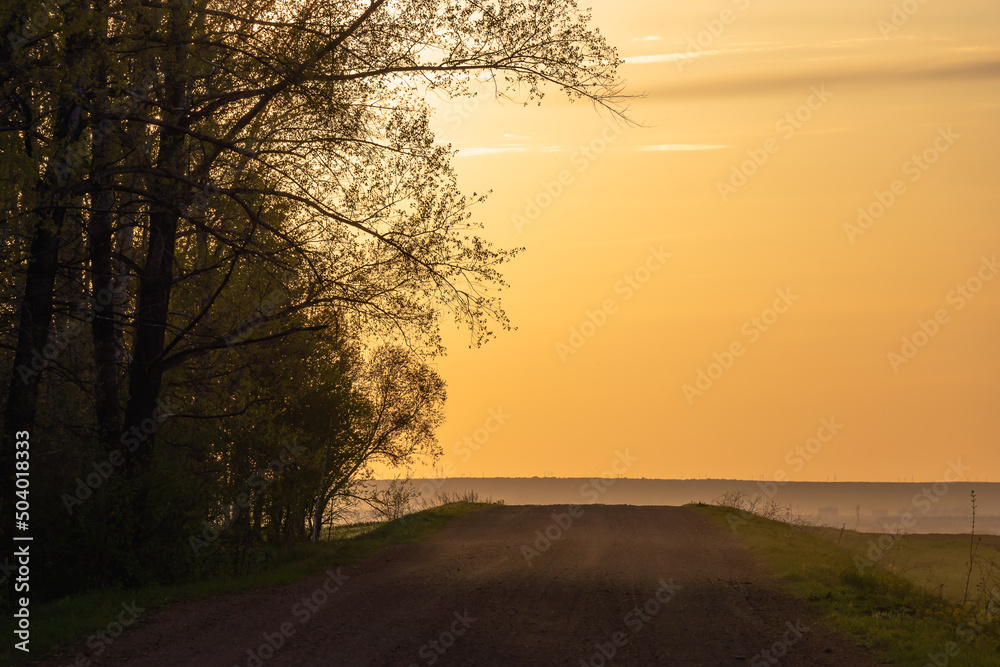 Sunset on a rural road near trees.