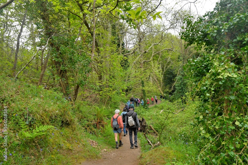 Group of senior hikers walking in the Traouiero valley at Tregastel in Brittany-France Group of senior hikers walking in the Traouiero valley at Tregastel in Brittany-France