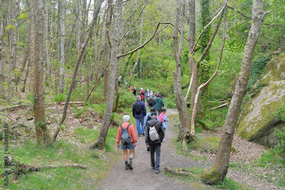 Group of senior hikers walking in the Traouiero valley at Tregastel in Brittany-France