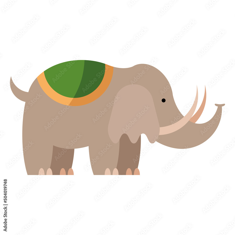 indian elephant animal