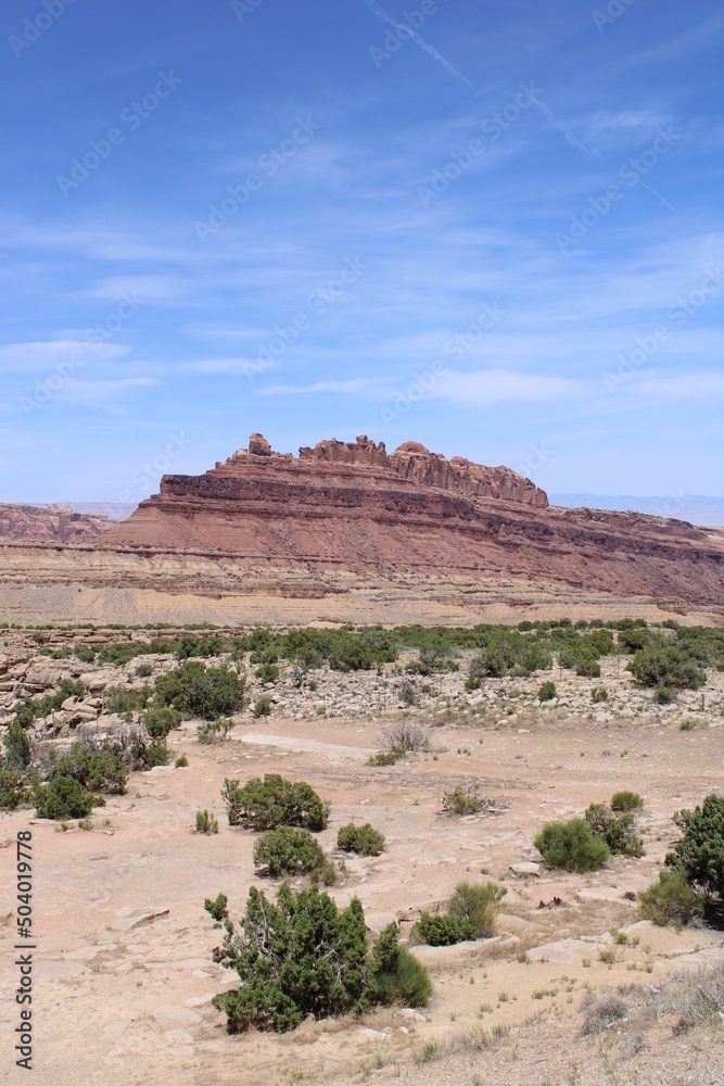 In the desert In the desert