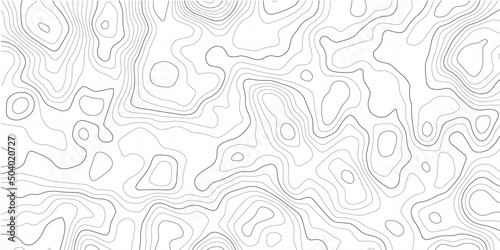 Topographic map background. Geographic grid. Vector Image