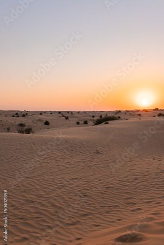 Desert sunset with empty dunes in Dubai or Abu Dhabi  United Arab Emirates