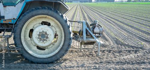 Foto Tractor standing in an agricultural field with rows of newly emerged crop