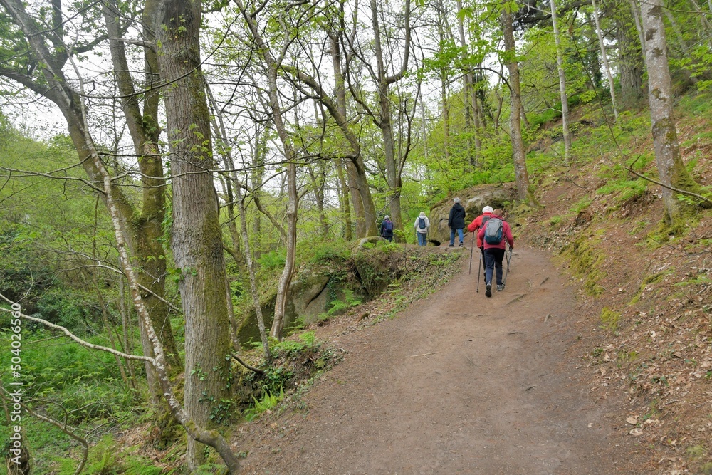 Group of senior hikers walking in the Traouiero valley at Tregastel in Brittany-France