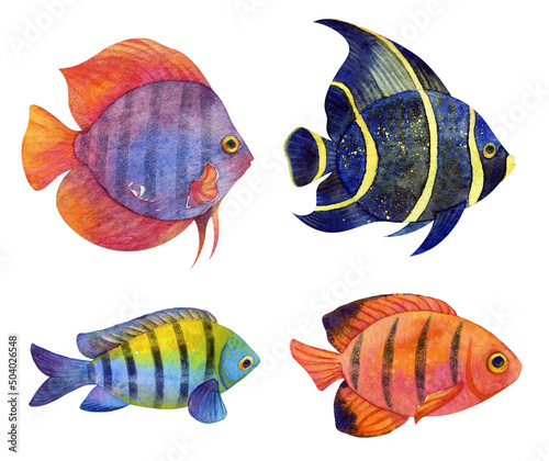 Watercolor set of tropical fish. Hand drawn clipart isolated on white background for clothes, stickers, baby shower, greeting cards, prints.