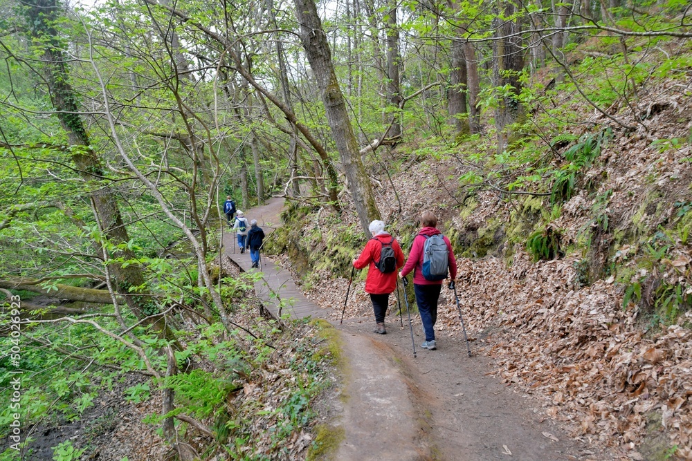 Obraz premium Group of senior hikers walking in the Traouiero valley at Tregastel in Brittany-France