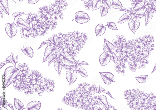 Seamless background with lilac flowers. Vector illustration. Isolated on white background.