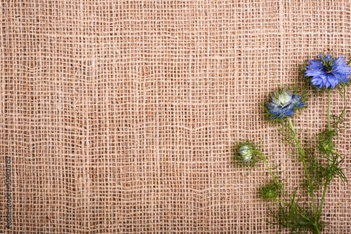 Frame from little blue cumin flowers on a fabric background
