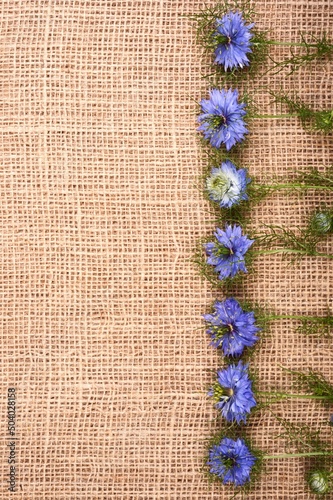 Frame from little blue cumin flowers on a fabric background