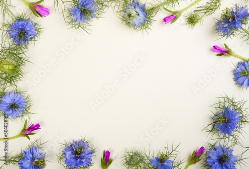 Frame from little blue cumin flowers on a paper background