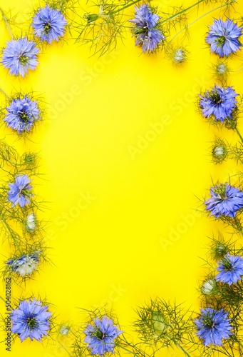 Frame from little blue cumin flowers on yellow background