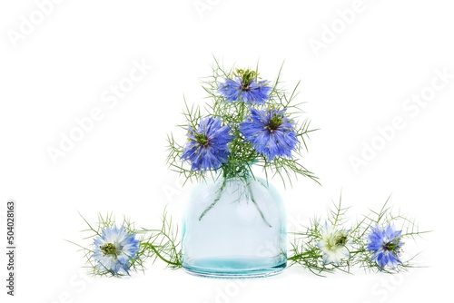 Nigella sativa or black cumin flowers in a vase