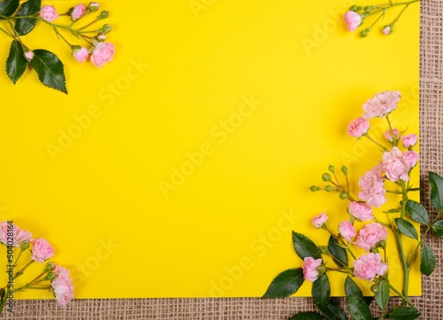 Frame from little pink roses on yellow