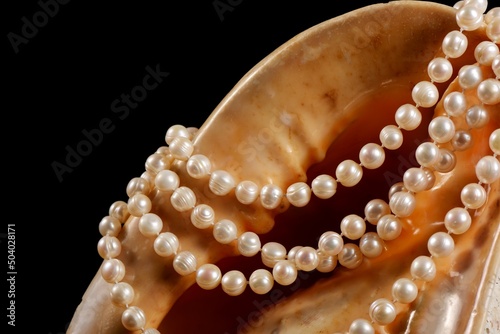 Big seashell with pearls on a black background, close up.