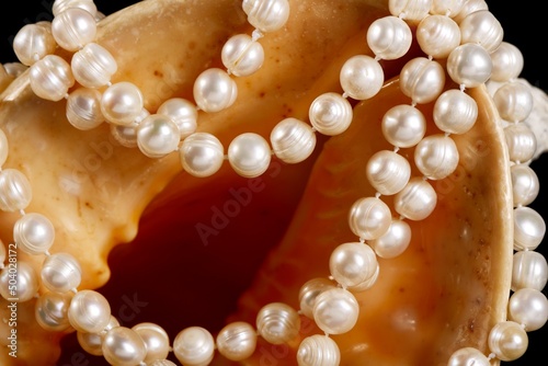 Big seashell with pearls on a black background, close up.