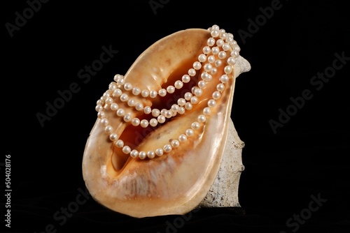 Big seashell with pearls on a black background, close up.