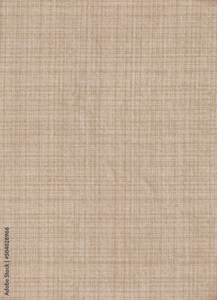 A Close-Up Scan of an Old-Style Cotton Gauze Cross-Hatch Pattern Texture on a Textile Sheet. With Small Realistic Ripples and Wrinkle Imperfections. Possibly a Mixed Material with Rayon. A Close-Up Scan of an Old-Style Cotton Gauze Cross-Hatch Pattern Texture on a Textile Sheet. With Small Realistic Ripples and Wrinkle Imperfections. Possibly a Mixed Material with Rayon.