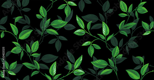 Seamless pattern with plants. Foliage design on a black background. Vector botanical illustration in realistic style. 