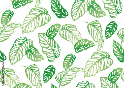 Seamless pattern with tropical leaves in realistic style. Exotic plants. Vector botanical illustration. Foliage background for wallpaper, textile, wrapping paper and greeting card.