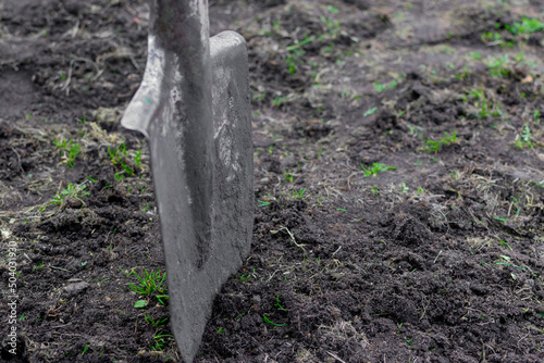A shovel stuck in the ground as a symbol of diligence and work with the earth. Selective focus