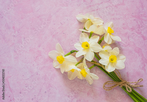 Bouquet of white daffodils on a pink concrete background with space for text or congratulations. Spring flowers.