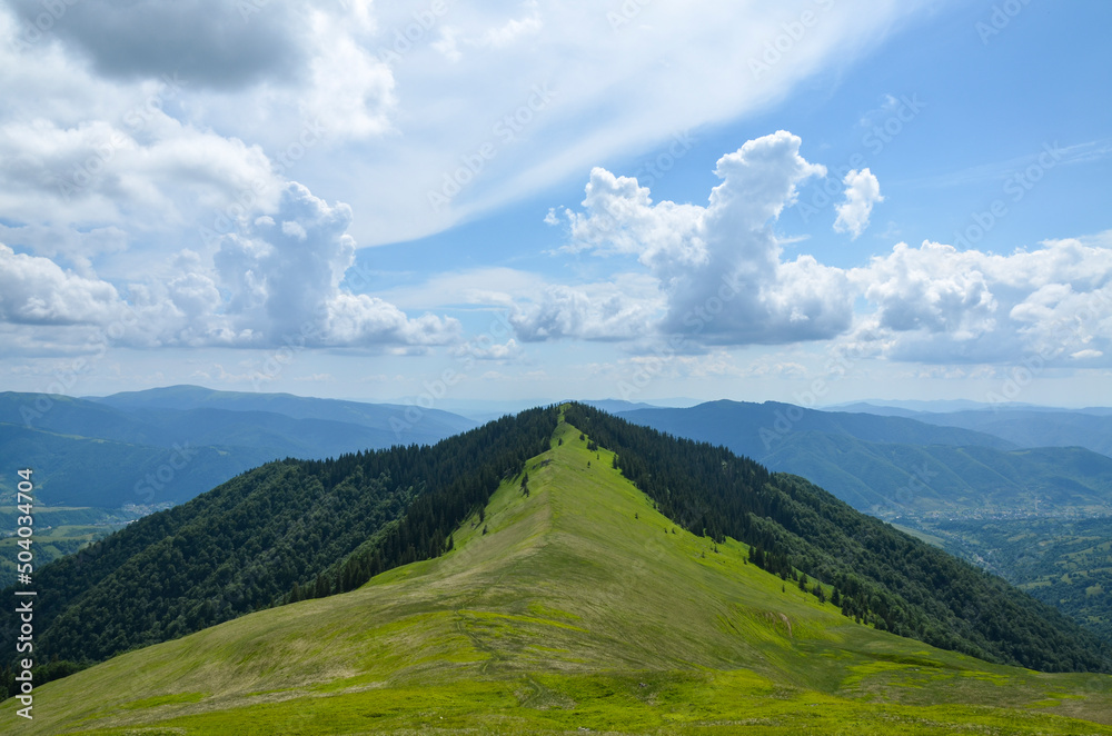 Fototapeta premium Landscape of bright summer day in Carpathian mountains, panorama of Carpathians, blue sky, trees and green hills, beautiful view, popular place for tourism
