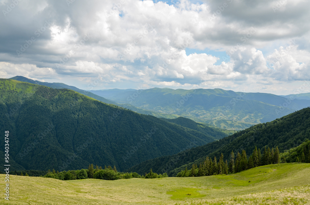 Landscape of bright summer day in Carpathian mountains, panorama of Carpathians, blue sky, trees and green hills, beautiful view, popular place for tourism Landscape of bright summer day in Carpathian mountains, panorama of Carpathians, blue sky, trees and green hills, beautiful view, popular place for tourism