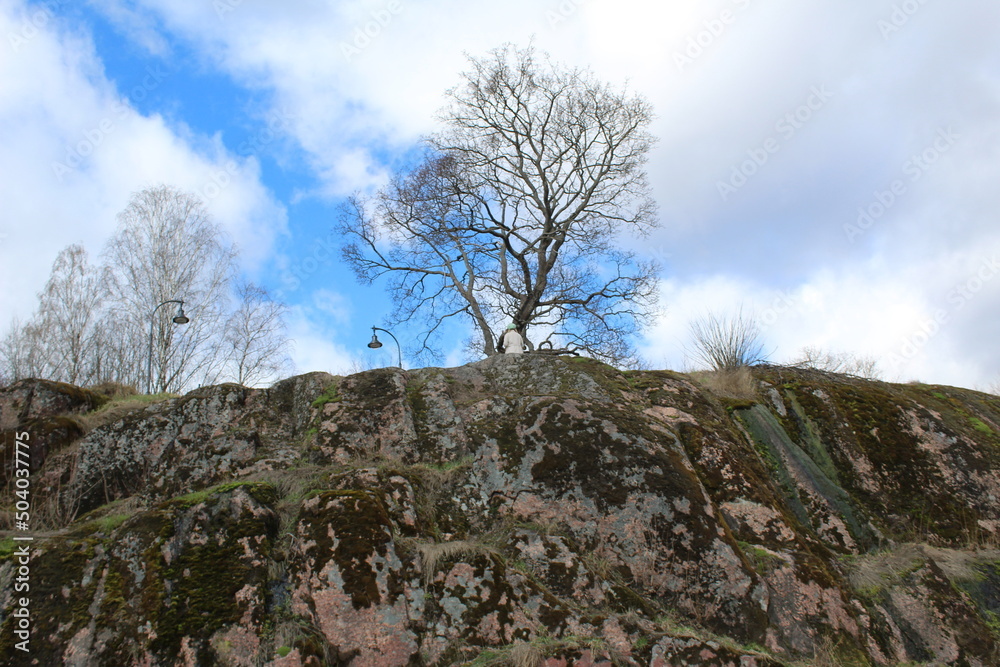 Beautiful mountain, tree and sky with clouds in spring Beautiful mountain, tree and sky with clouds in spring