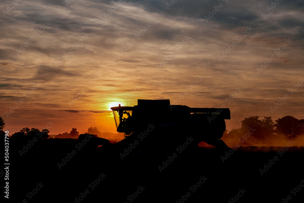 Fototapeta premium silhouette of harvesting scenery in sunset