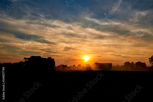 silhouette of harvesting scenery in sunset © fotowunsch