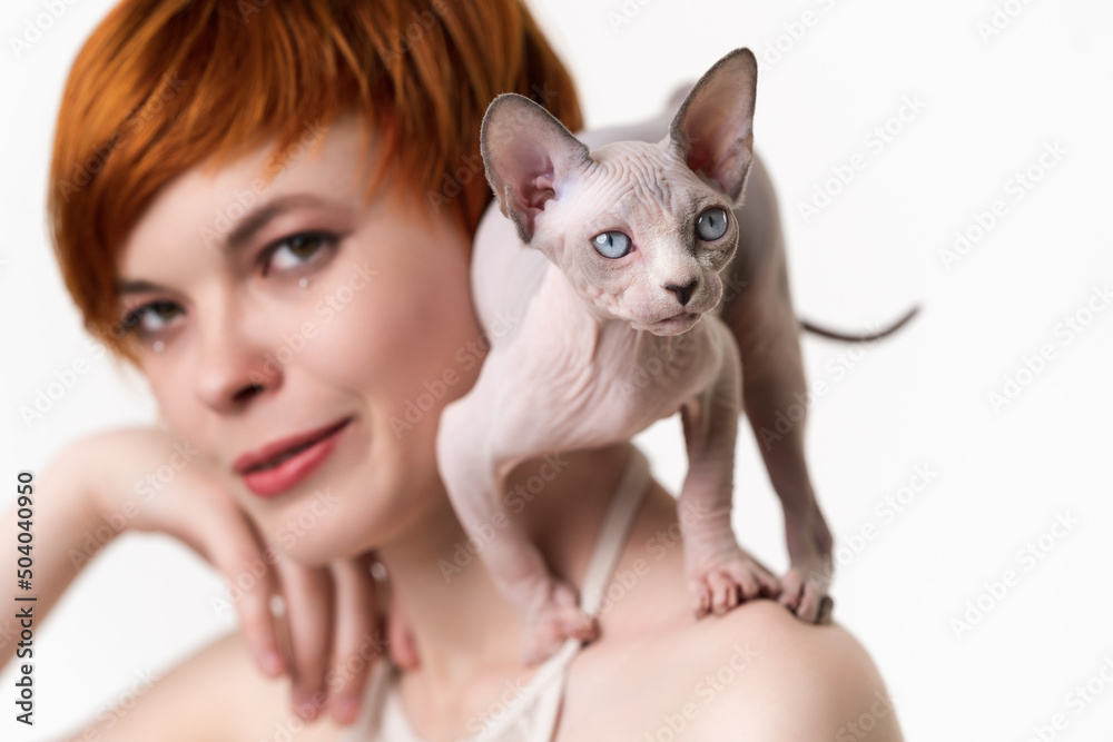 Canadian Sphynx Cat standing in defensive pose on shoulder of redhead young woman with short hair. Selective focus on kitten, shallow depth of field. Head shot on white background. Part of series. Canadian Sphynx Cat standing in defensive pose on shoulder of redhead young woman with short hair. Selective focus on kitten, shallow depth of field. Head shot on white background. Part of series.