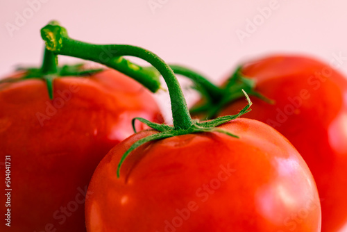 Red tomatoes on a green vine with white background and negative space © MaryHerronPhoto