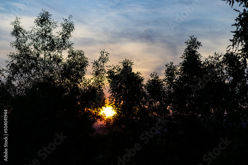 Fototapeta Naklejka Na Ścianę i Meble -  Sunset. Sunset with high clouds leaving the sky orange and blue. Backlight of the leaves and branches of the trees in a park in Madrid, in Spain. Europe. Horizontal photography.