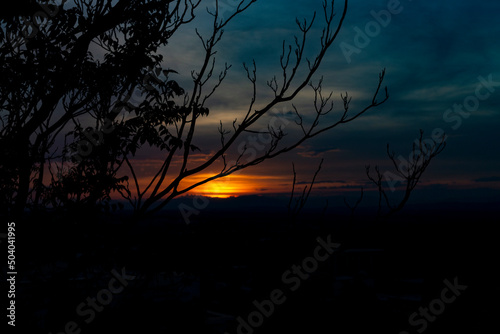 Sunset. Sunset with high clouds leaving the sky orange and blue. Backlight of the leaves and branches of the trees in a park in Madrid, in Spain. Europe. Horizontal photography.