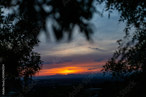 Sunset. Sunset with high clouds leaving the sky orange and blue. Backlight of the leaves and branches of the trees in a park in Madrid, in Spain. Europe. Horizontal photography.